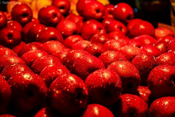 Red apples with water drops