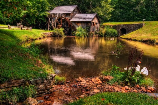 Le vieux moulin des oies au bord de l eau