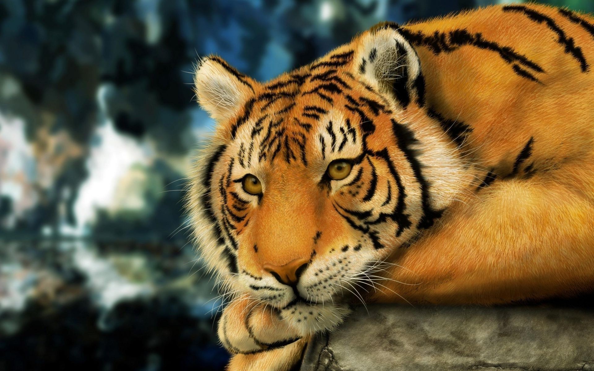 tigres tigre faune chat mammifère animal prédateur zoo bande danger chasseur nature sauvage jungle portrait agression fourrure