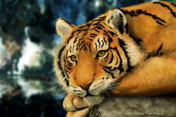 Tigre triste sur fond de nature sauvage