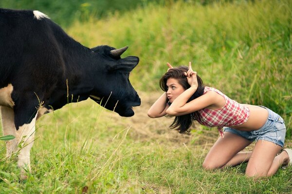 A girl makes faces at a cow