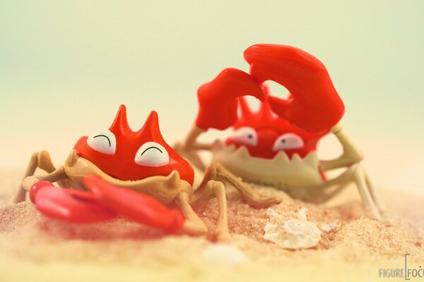 Funny crabs on a sandy beach