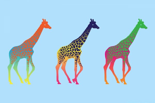 Bright giraffes on a blue background