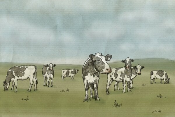 Drawing a herd of cows in a field