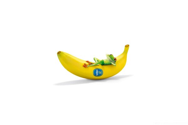 The frog is lying on a yellow banana