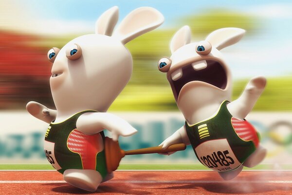 Humorous rabbits run after each other