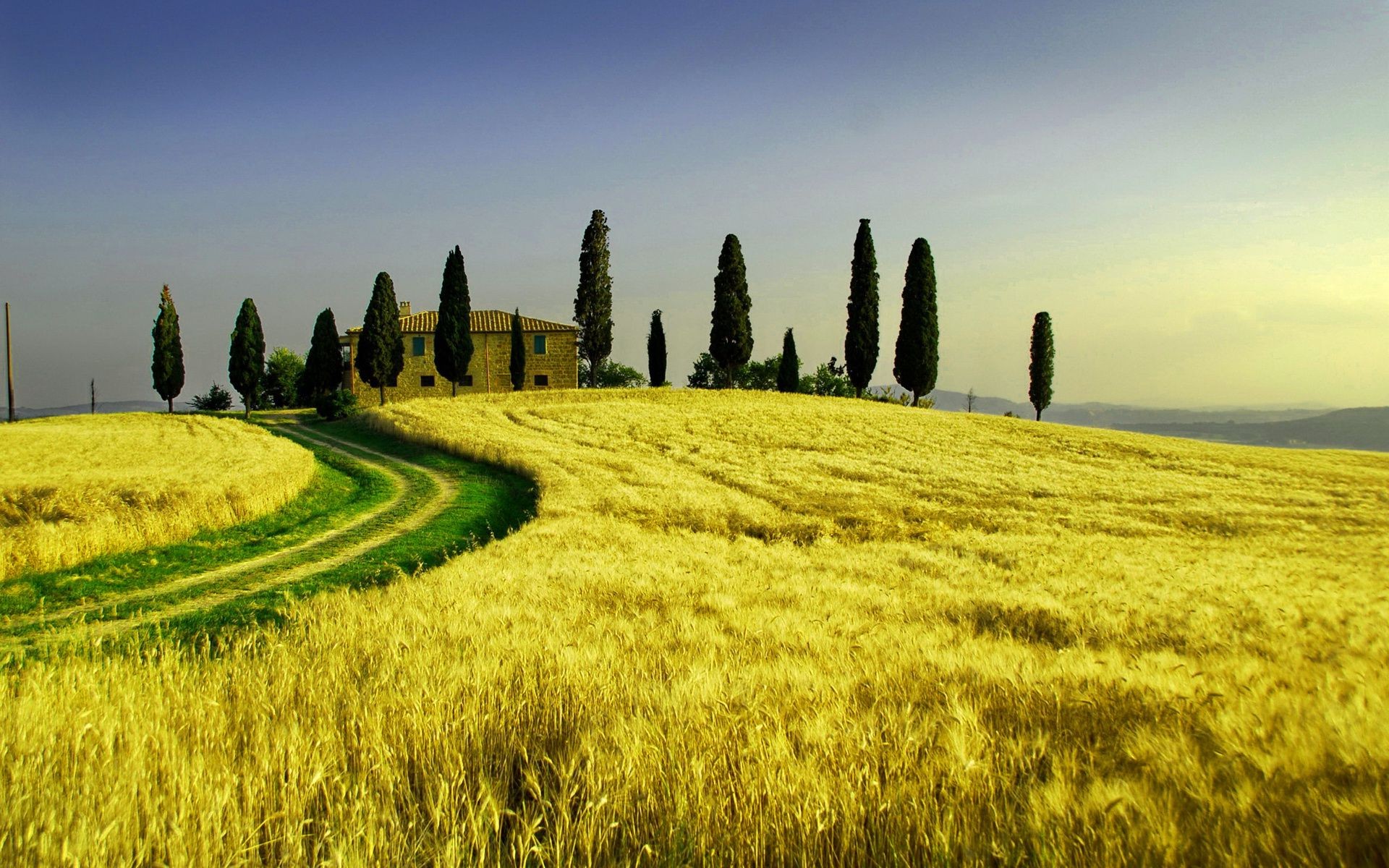 paesaggio agricoltura grano rurale campo campagna cereali paesaggio fattoria raccolto pascolo crescita all aperto terra coltivata cielo natura mais paese estate terreno agricolo