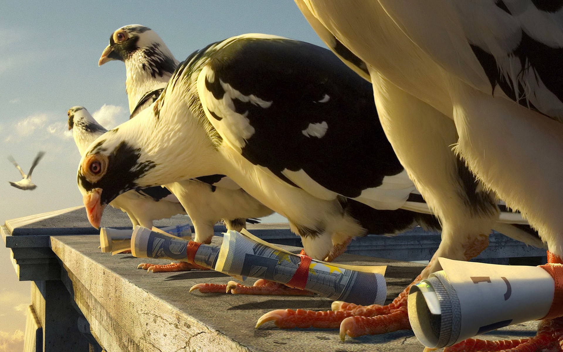 animais pássaro raptor natureza vida selvagem ao ar livre águia animal