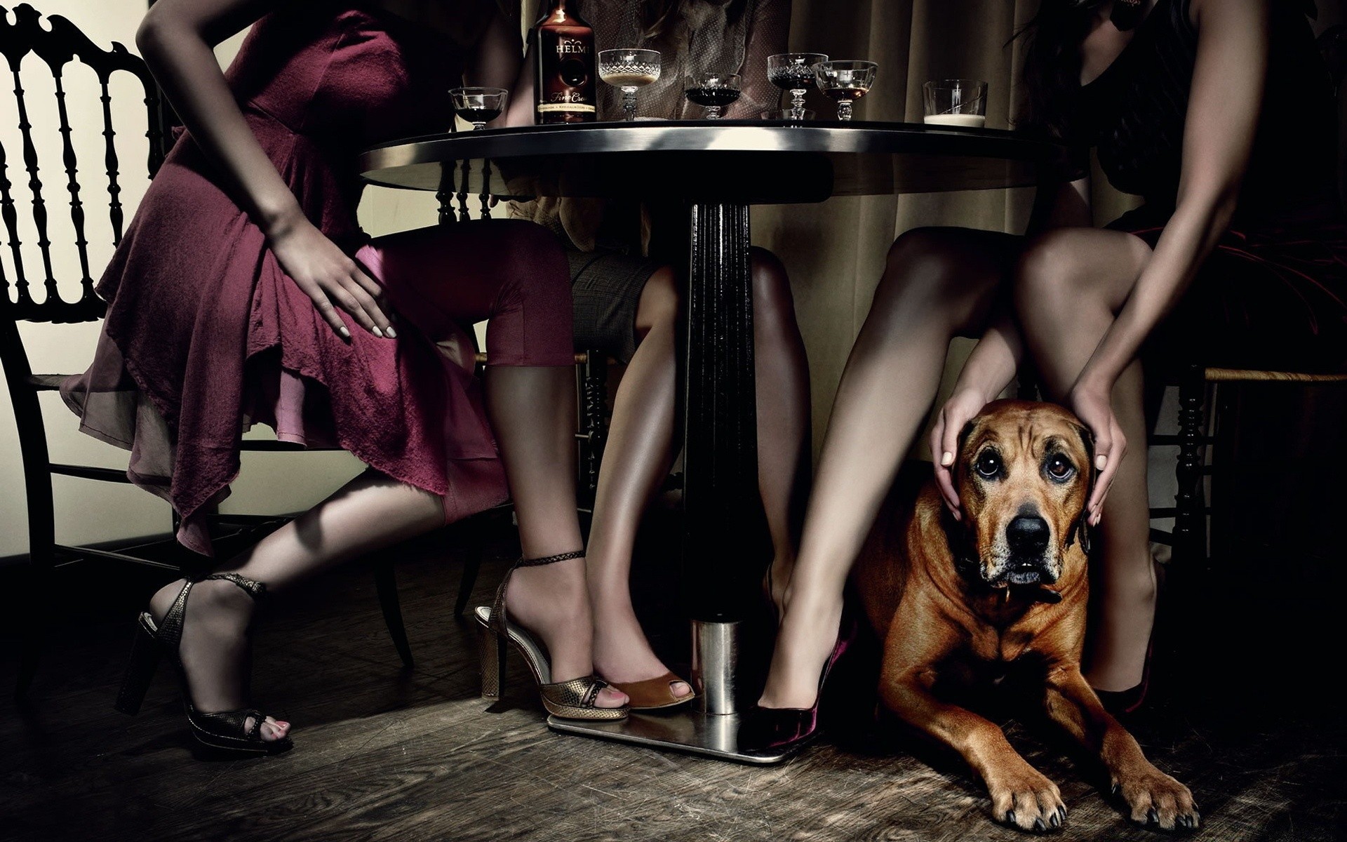 tiere frau mode mädchen modell erwachsene sitzen bar allein porträt sexy glamour tragen drinnen kleid schuhe