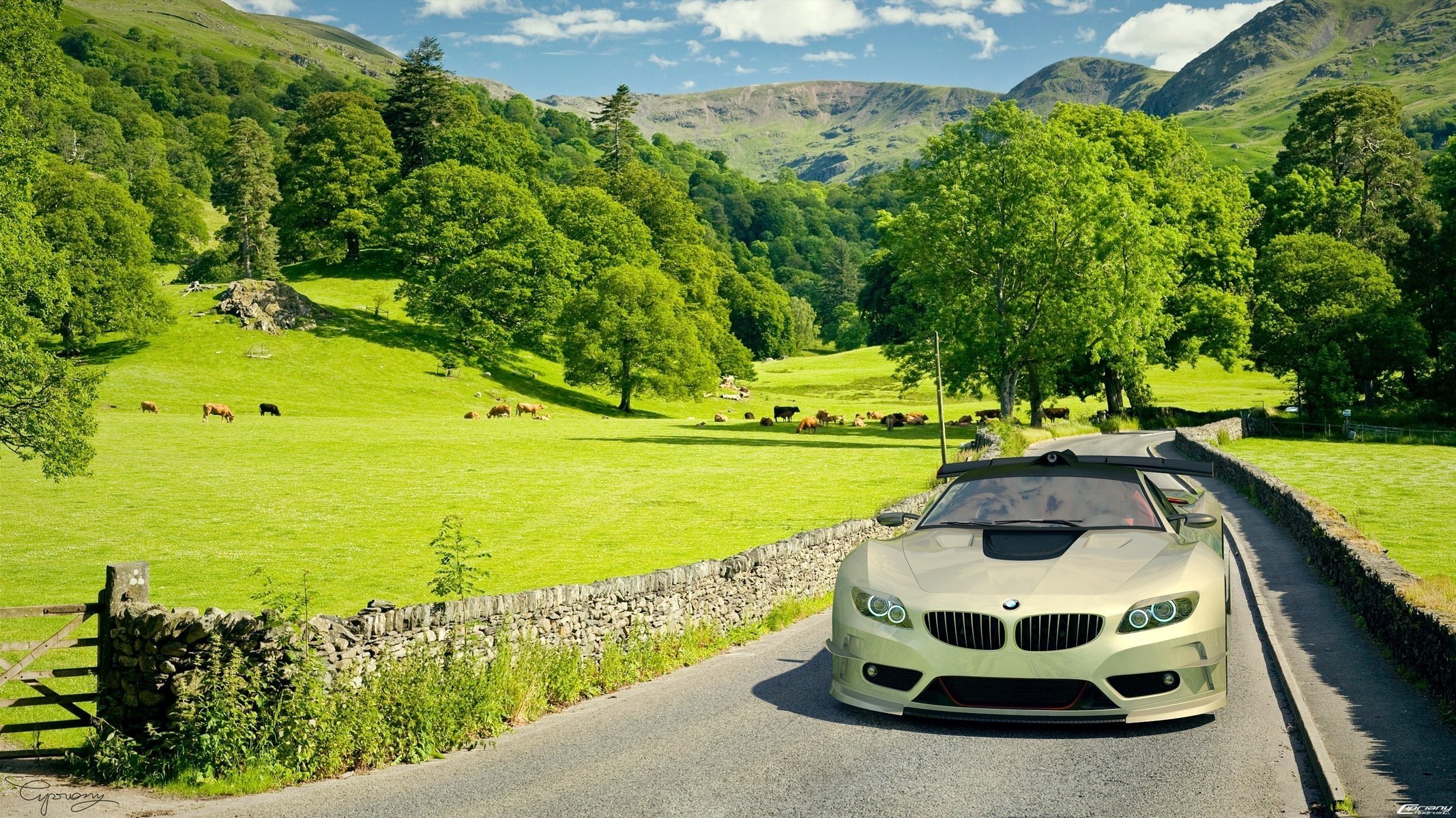 поле бмв car машина автомобиль bmw