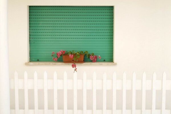 Conception de bureau dans les tons blancs et verts