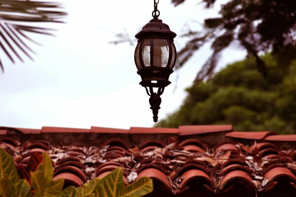 Decoración del hogar e interior al aire libre