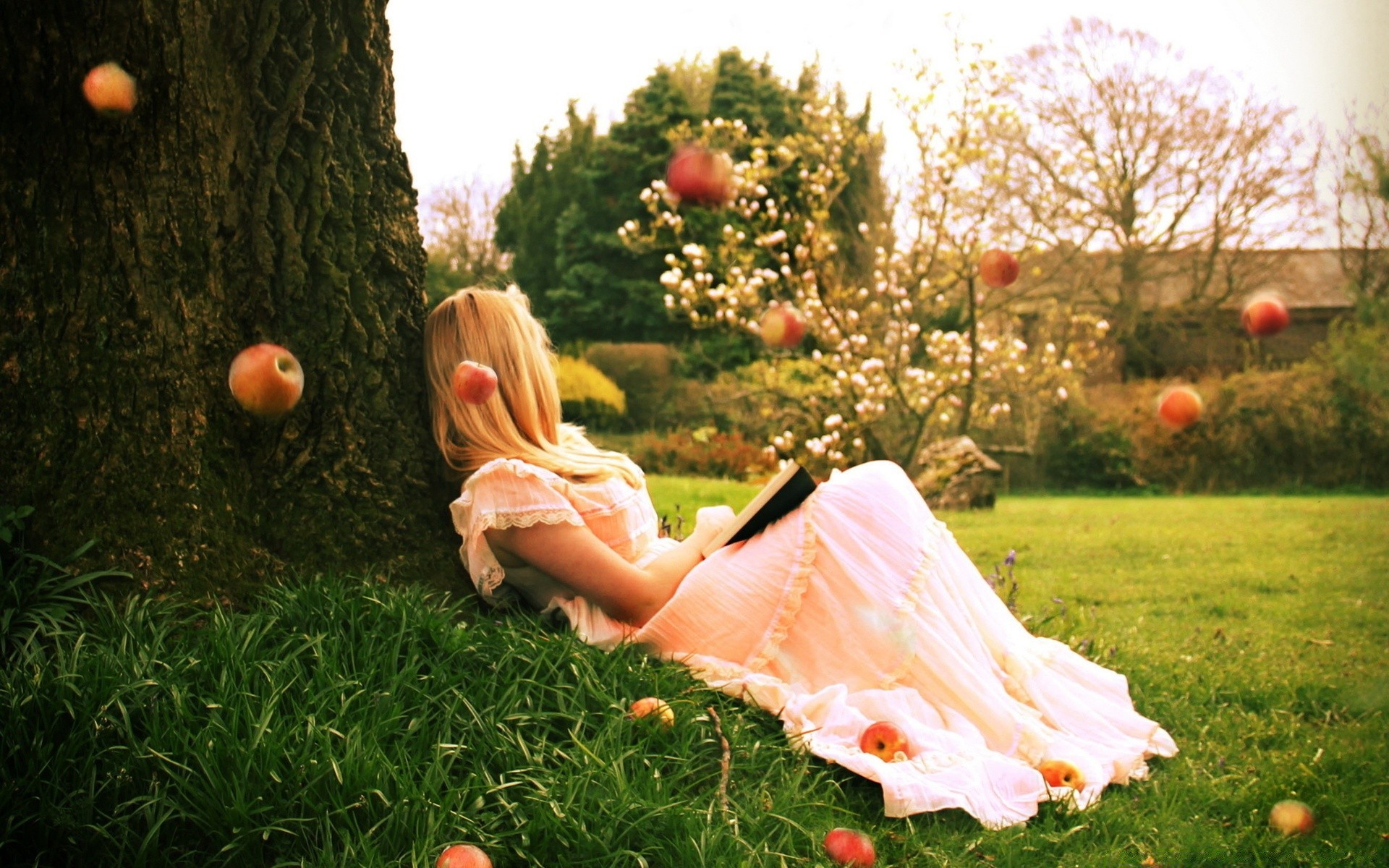 otras chicas hierba verano al aire libre naturaleza campo flor césped heno chica vacaciones árbol parque solo mujer sol manzana hermosa temporada buen tiempo