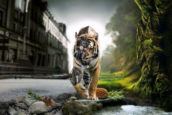 The image of a fantastic tiger in nature