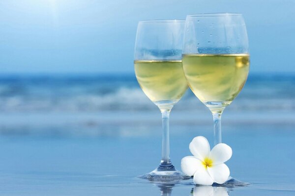 A flower and two glasses of wine on the beach