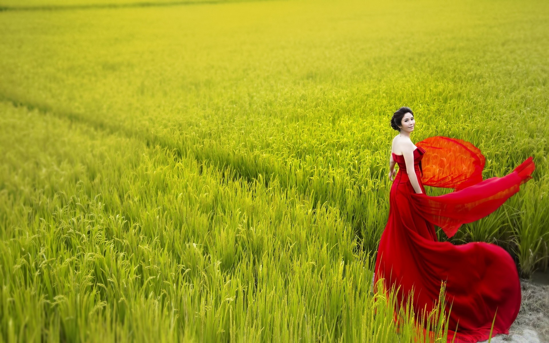 the other girls field cereal farm rural grass rice hayfield crop nature countryside agriculture growth pasture landscape wheat summer outdoors cropland paddy flora