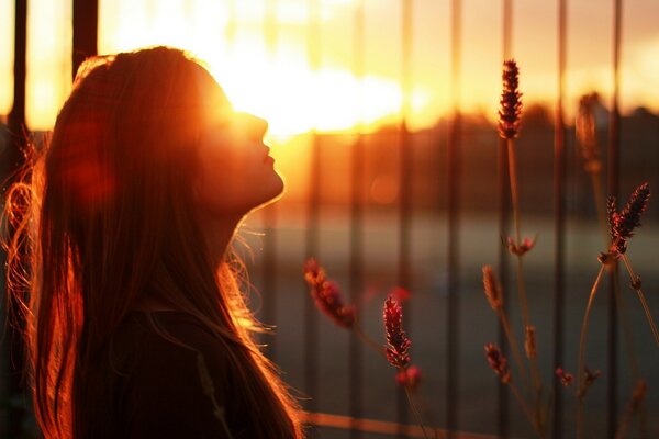 La jeune fille au coucher du soleil se tient près de la grille