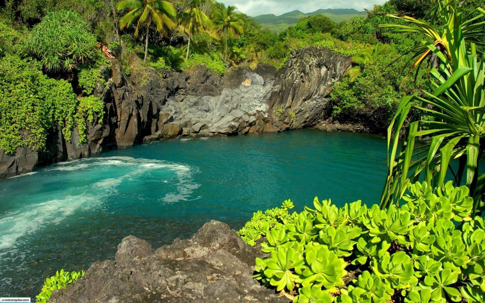 rios lagoas e córregos lagoas e córregos água tropical natureza viajar verão árvore bela paraíso flora paisagem folha férias ao ar livre rocha exótico turismo turquesa ilha praia