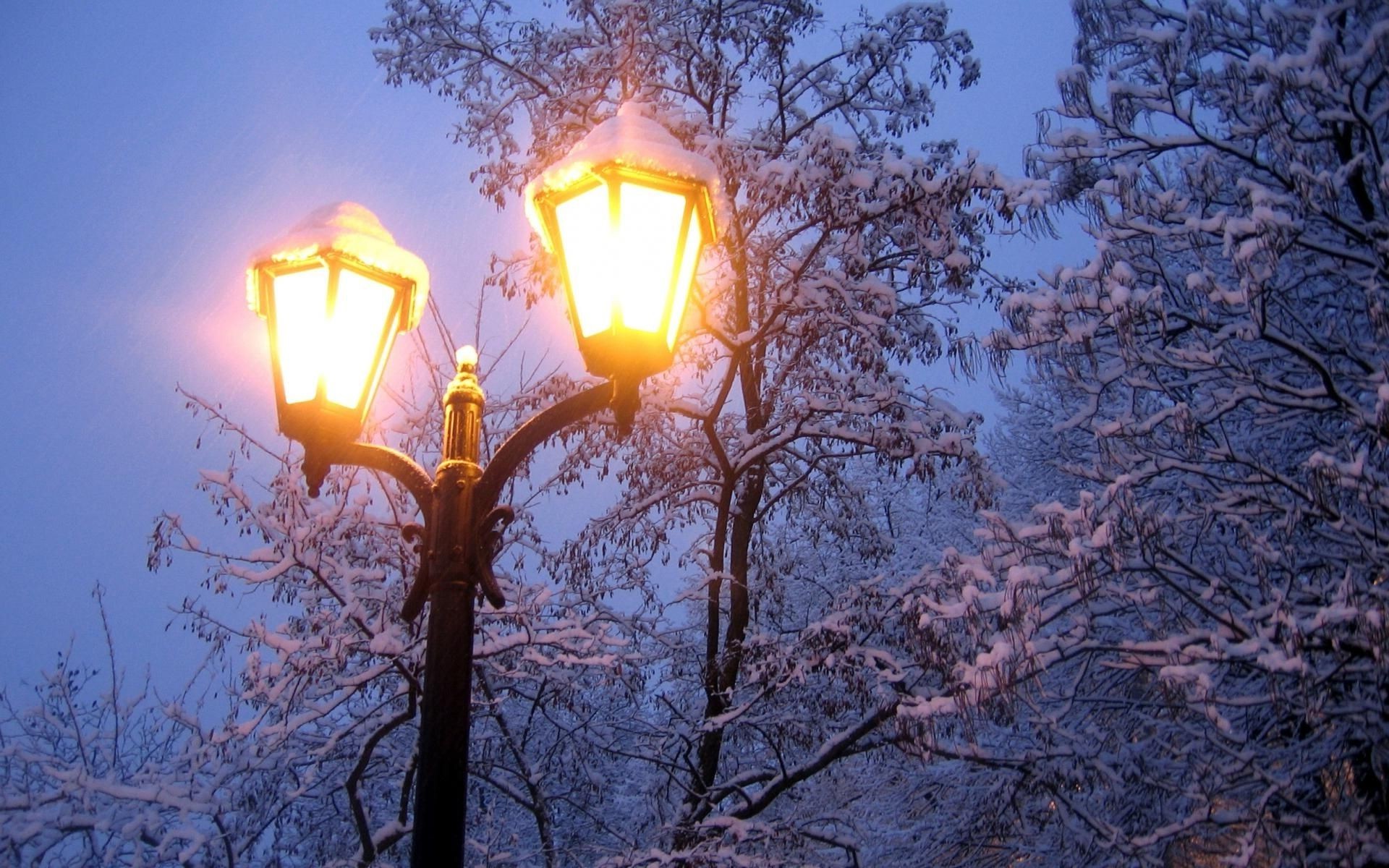 冬天 灯 灯笼 明亮 光 灯 背光 季节 雪 电 树 蜡烛 自然 发光 分支 晚上 太阳 天空