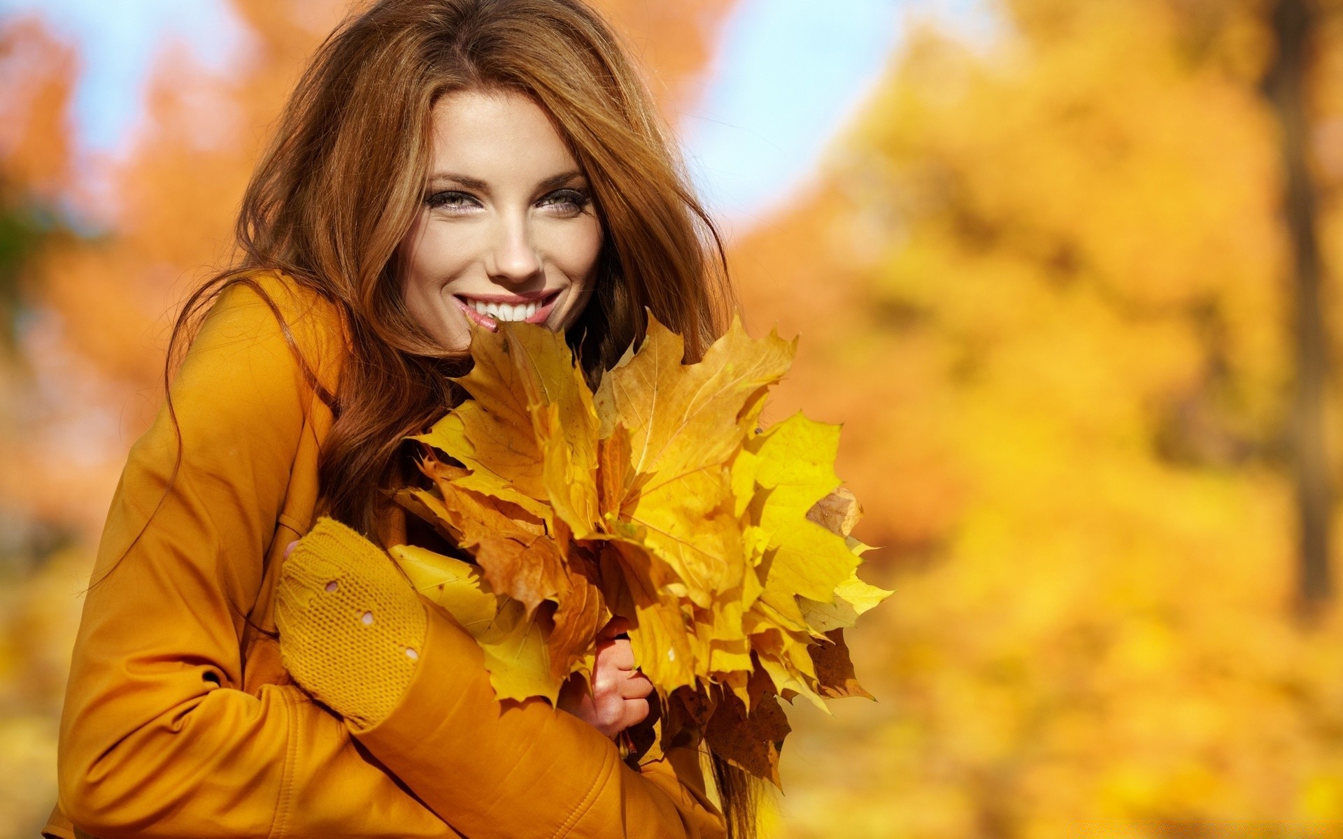 autre fille automne nature femme érable à l extérieur feuille belle fille parc portrait unique saison jolie mode