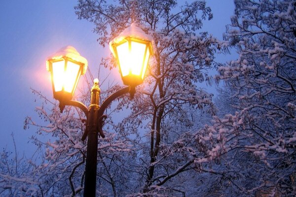 Winterbäume im Schnee und brennende Laternen