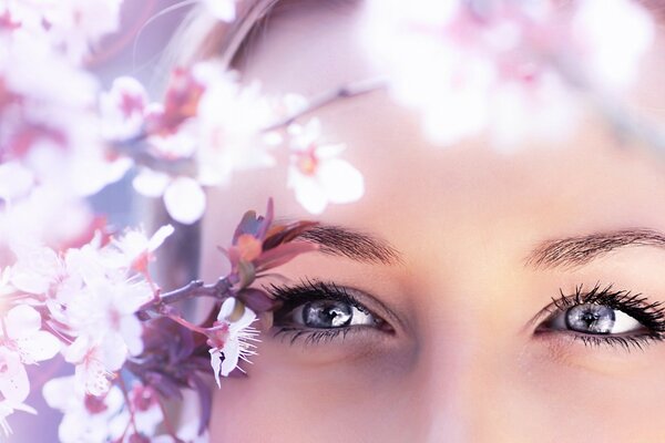 Glückliche blaue Augen in der Nähe eines Zweigs mit rosa Blüten