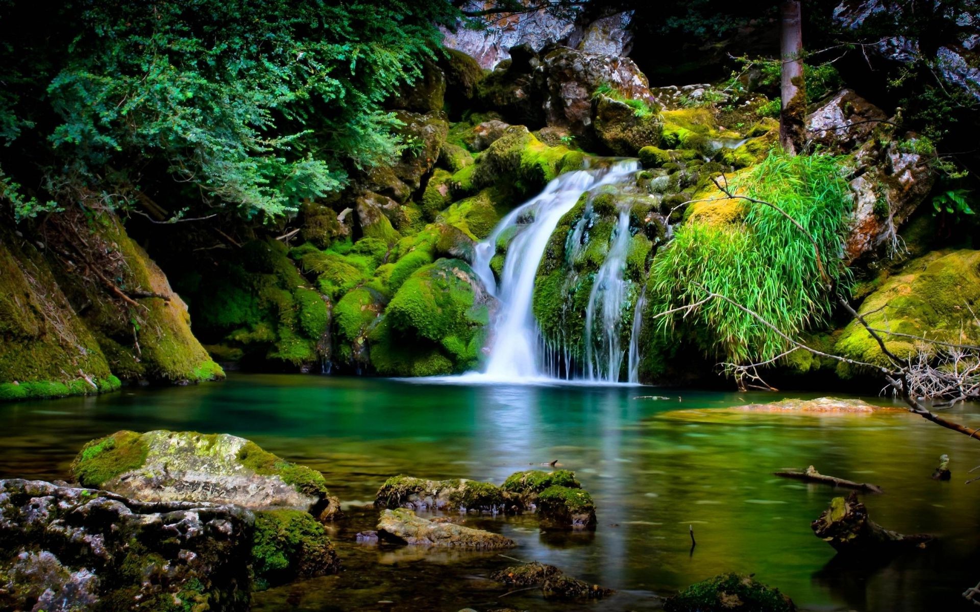 wodospady wody wodospad natura rzeka strumień drewno odkryty strumień liść podróż rock creek ruch krajobraz kaskada splash mech jesień mokry