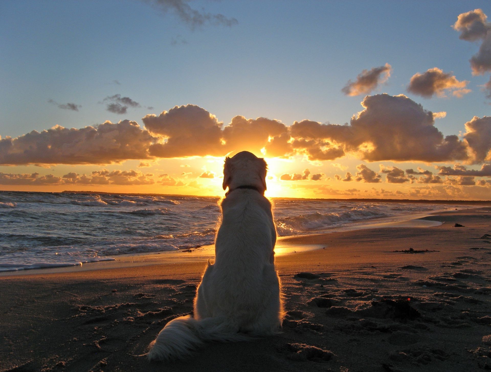 the sunset and sunrise sunset beach water dawn sun sea ocean evening dusk landscape sky backlit seashore sand reflection nature