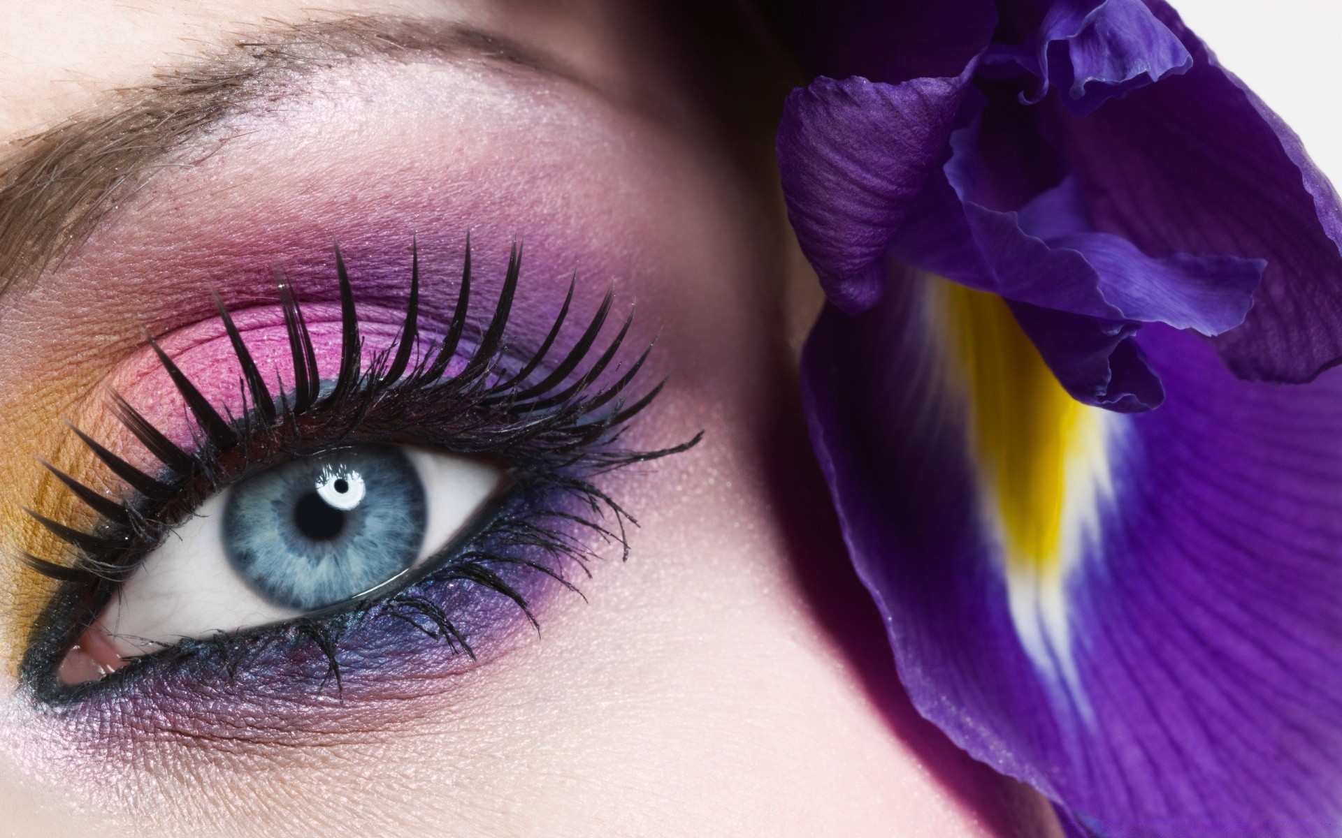 rosto e sorriso bonito mulher globo ocular cílios cor menina sobrancelha visão visão glamour espetáculo sombra rímel bonito moda close-up retrato pálpebra natureza olho