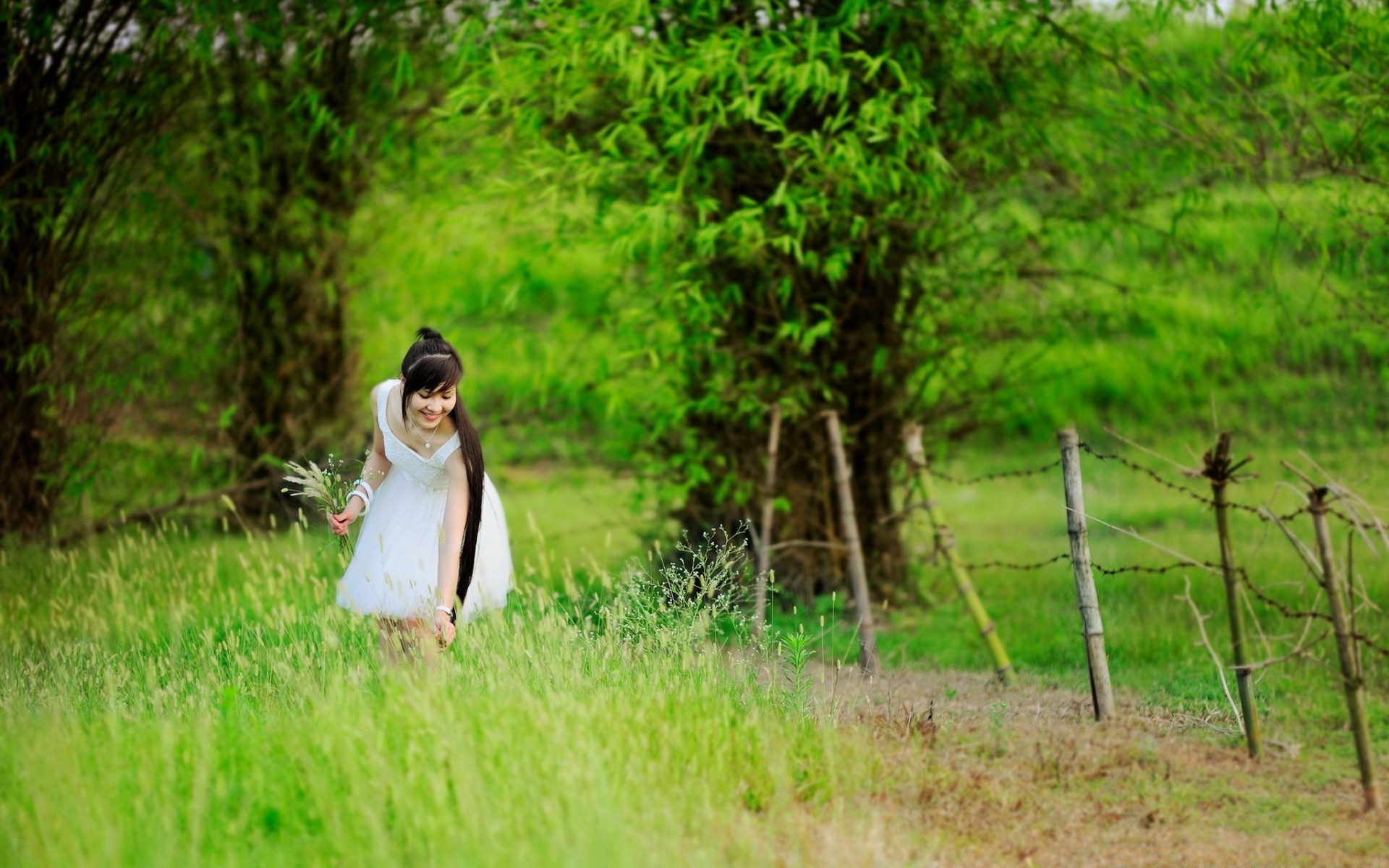 其他女孩 草 自然 户外 夏天 女孩 木材 公园 景观