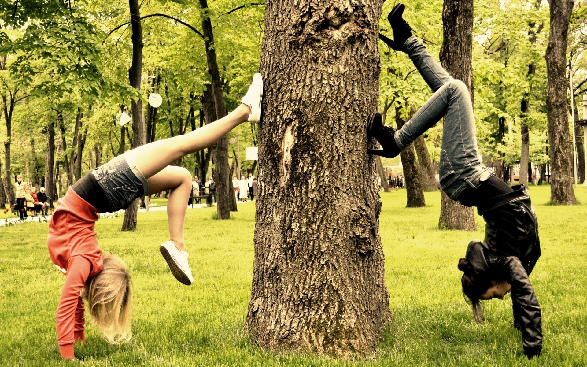 otras chicas ocio ejercicio al aire libre parque recreación naturaleza hierba activo fitness mujer madera adulto placer relajación verano árbol hombre estilo de vida solo