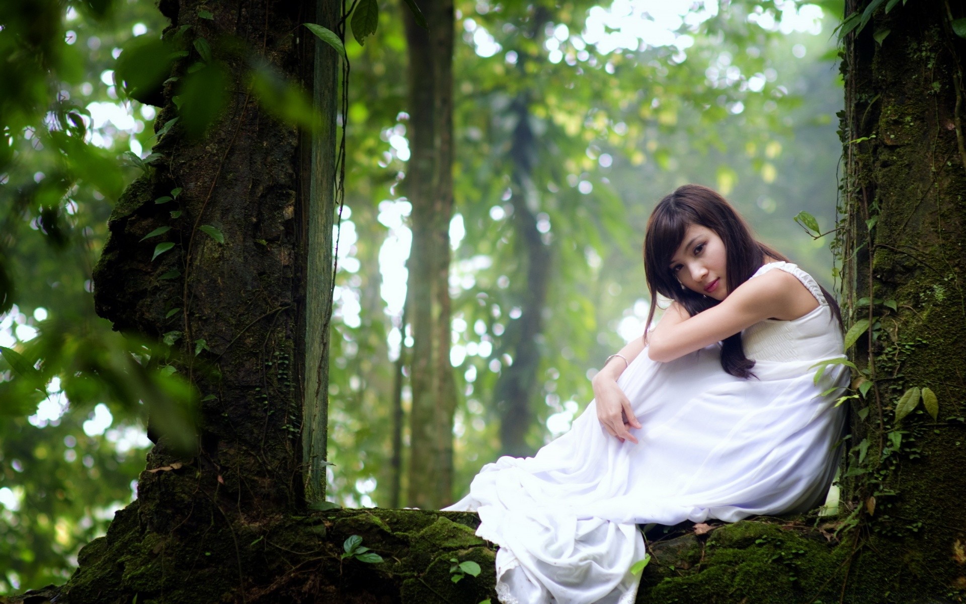 altre ragazze natura legno ragazza albero parco estate all aperto donna foglia vestito modello bella erba