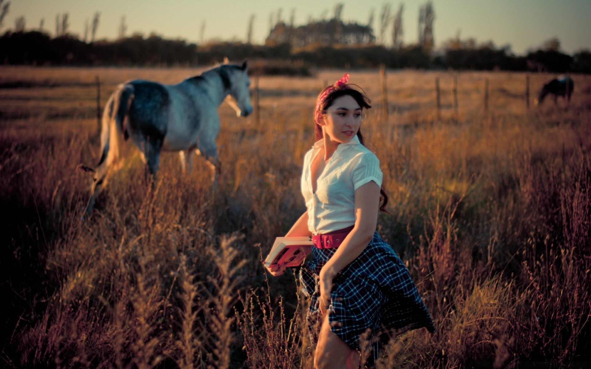 outras garotas menina pôr do sol ao ar livre solteiro campo natureza adulto lazer grama mulher outono feno estilo de vida céu à noite