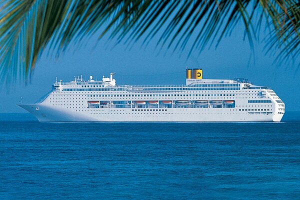 A big ship at sea. palm tree