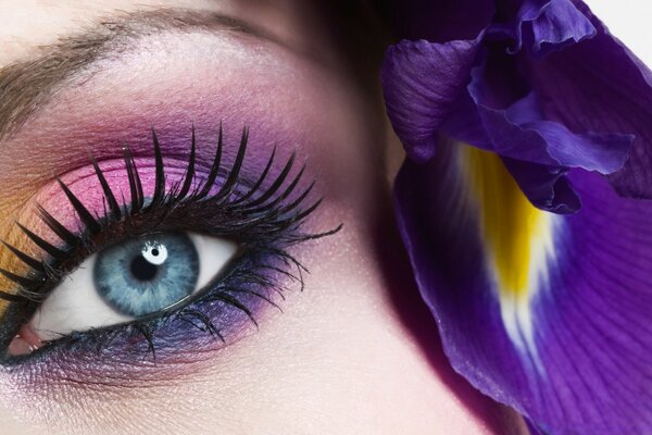 Beautiful eye close-up