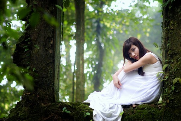 Chica en camisa blanca en el bosque