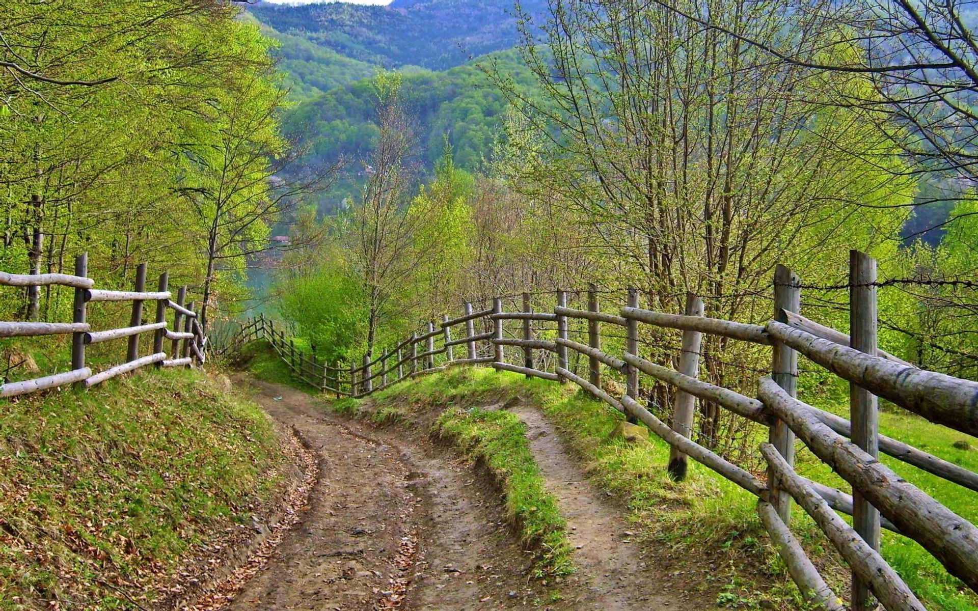 estrada cerca madeira paisagem natureza árvore rural guia ao ar livre folha campo país cênica viagem grama outono verão temporada fazenda