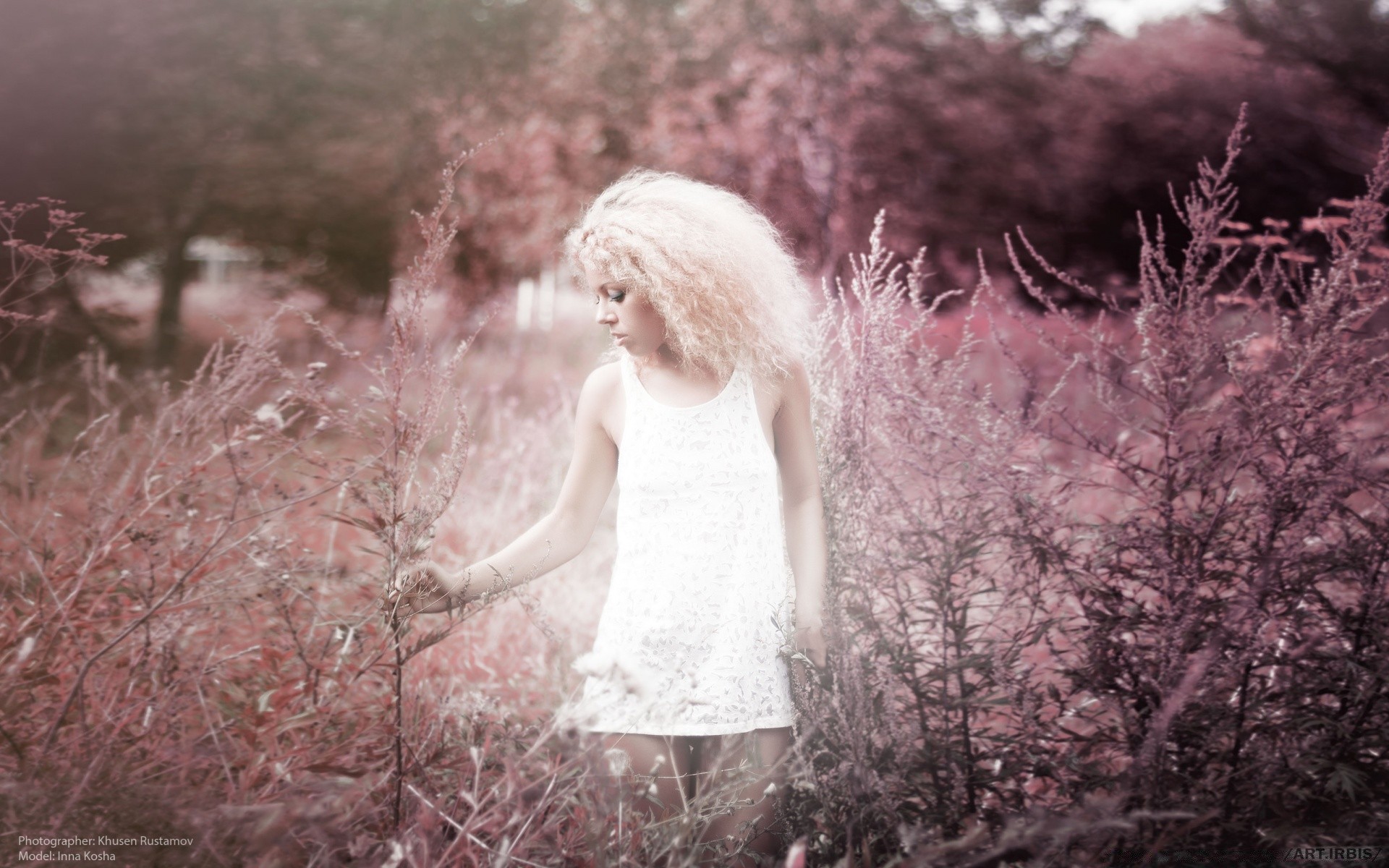 autre fille hiver neige arbre froid nature bois à l extérieur gel paysage unique portrait automne parc saison météo