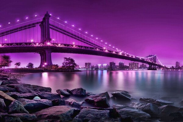 A bridge in pink lights over a wide river