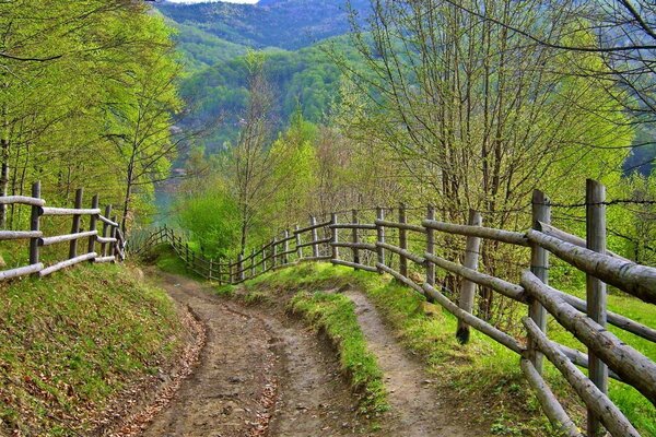 Camino A la antigua aldea a lo largo de los huertos