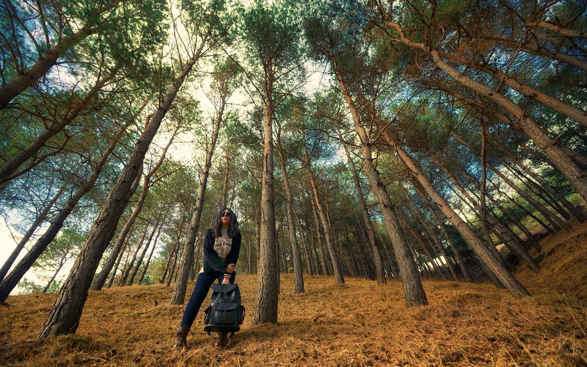 the other girls tree wood landscape nature dawn daylight outdoors park environment leaf hike conifer sun light fair weather scenic branch fog pine