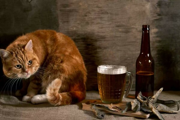 Retrato de un gato en el fondo de una mesa con una bebida