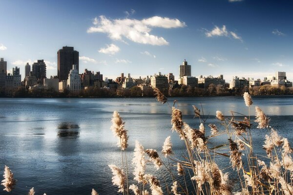 Schöne Aussicht auf New York über den Fluss