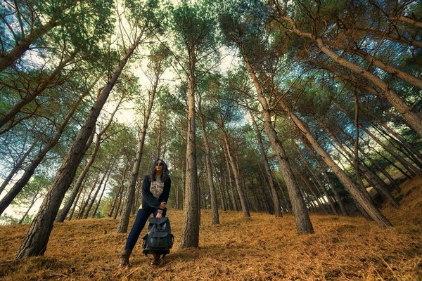 Ragazza viaggiatore sullo sfondo della foresta