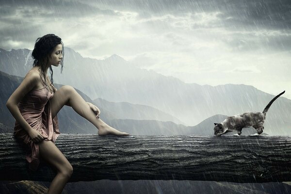 Meeting of a girl and a cat on a log in rainy weather