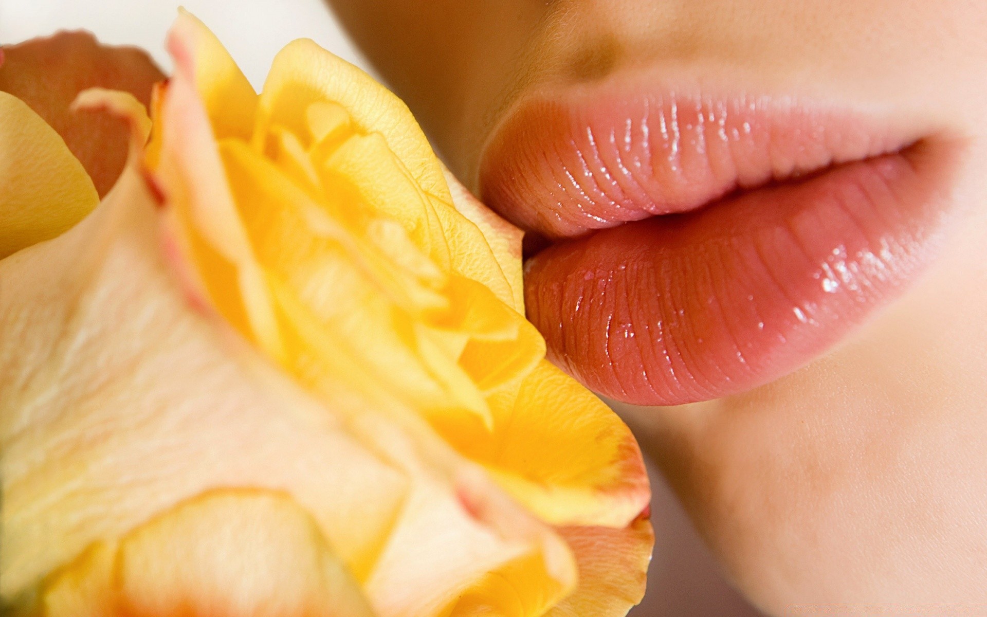 altre ragazze salute cibo delizioso