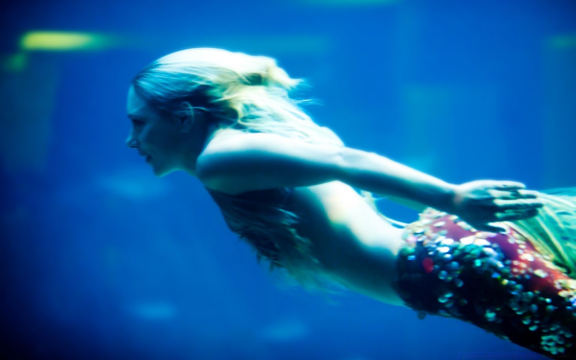 andere mädchen schwimmen unterwasser wasser urlaub ein im freien