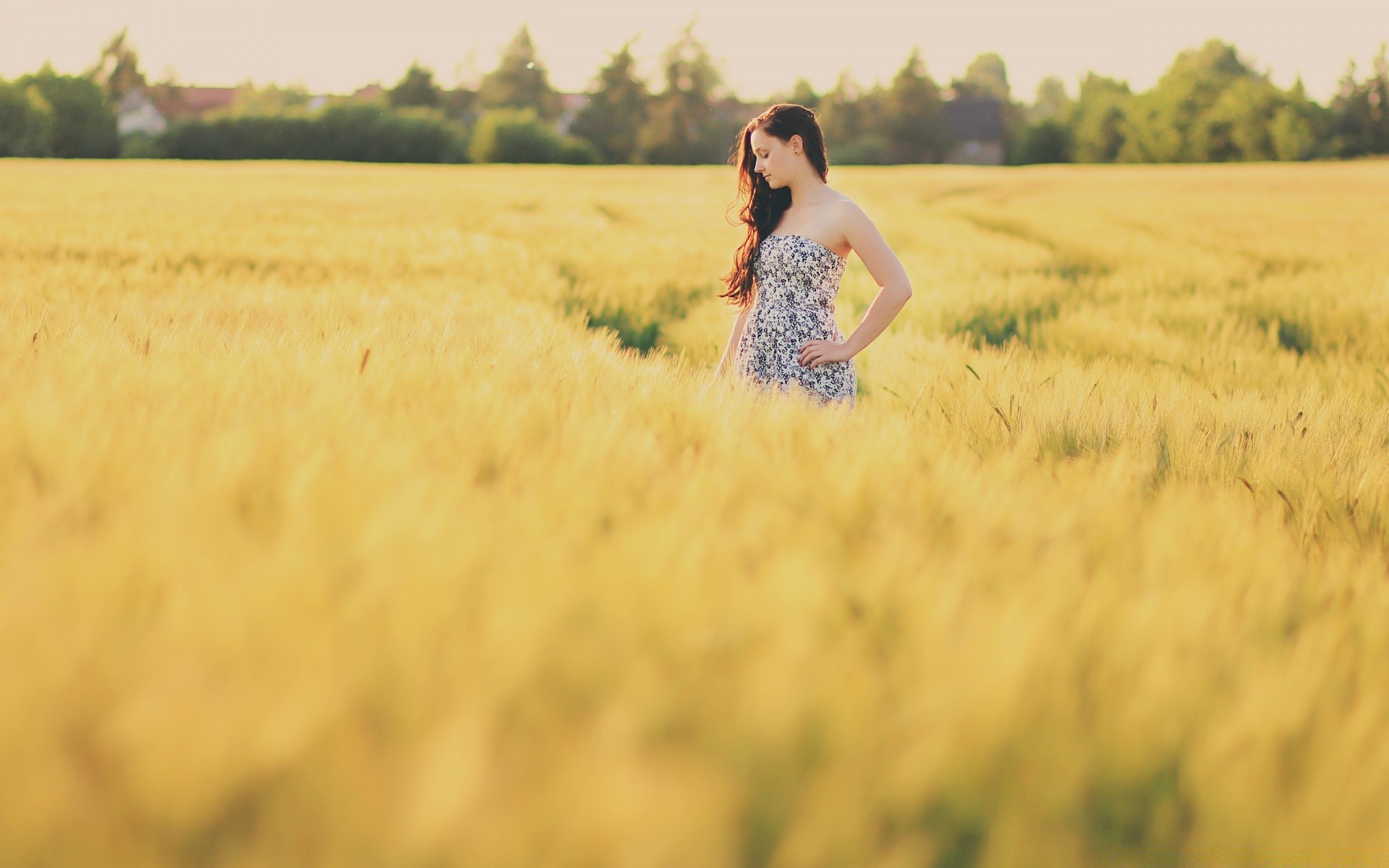 otras chicas campo chica puesta de sol naturaleza verano hierba heno sol trigo paisaje vestido oro buen tiempo al aire libre felicidad granja cielo libertad retrato mujer