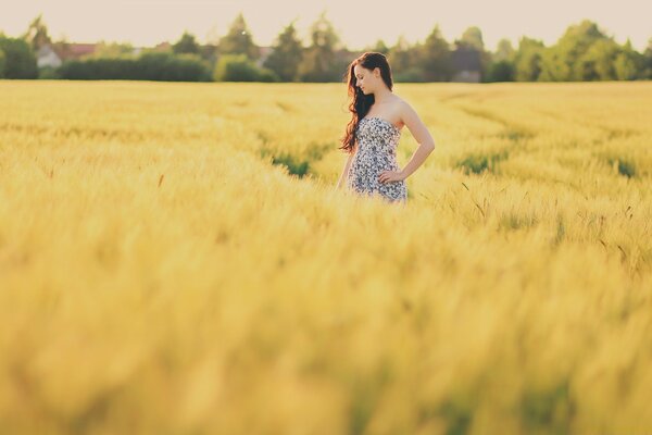 Chica en el campo amarillo