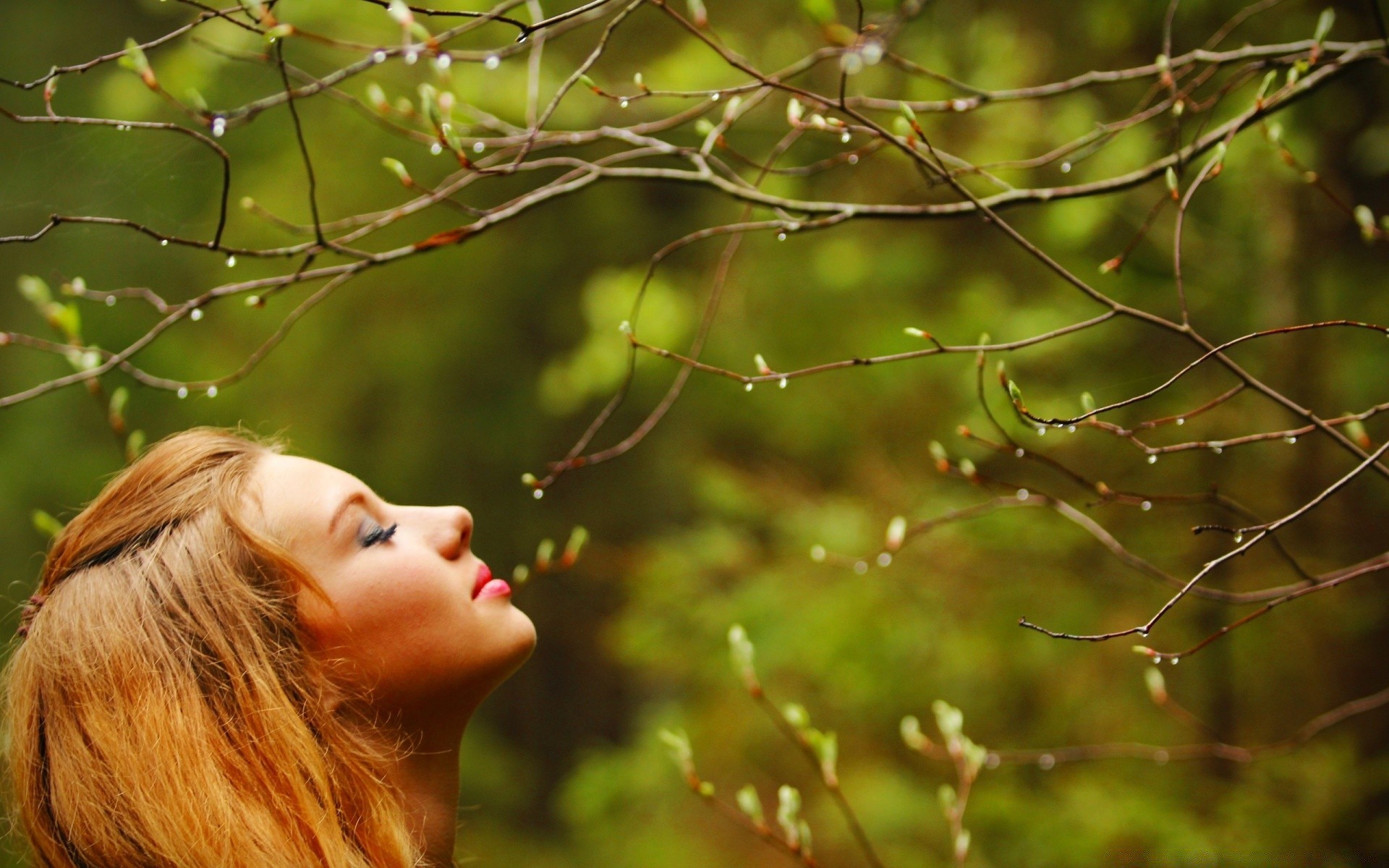 otras chicas naturaleza al aire libre árbol parque retrato chica hermosa sol madera verano